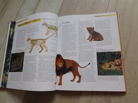 Cicavce---30 x 24 cm, 96 strán, 