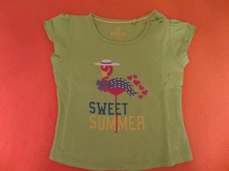 Zelené tričko s ružovým plameniakom, lupilu,86