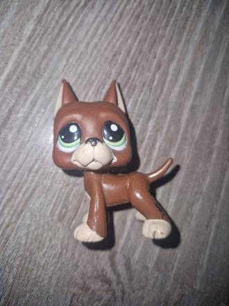Littlest pet shop doga 1519, 