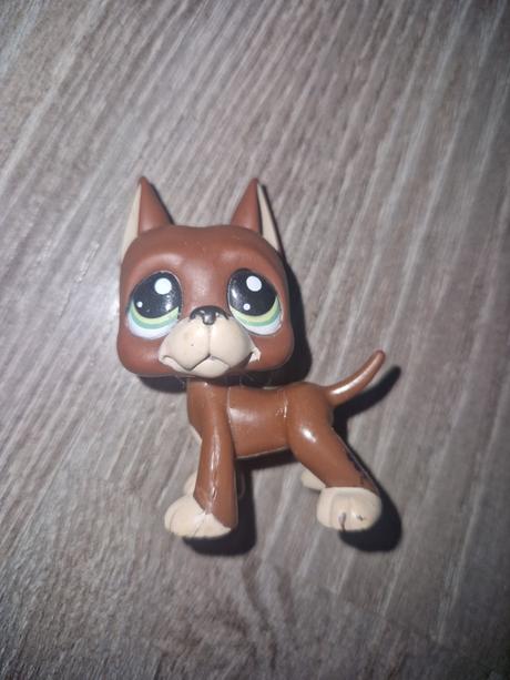 Littlest pet shop doga 1519, 