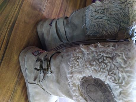 Cizmicky 34, graceland,34