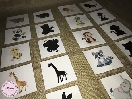 Montessori kartičky - hra tieňov,