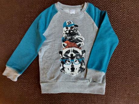 Mikina / pulóver, c&a,116