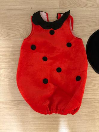 Karnevalovy kostym lienka, 