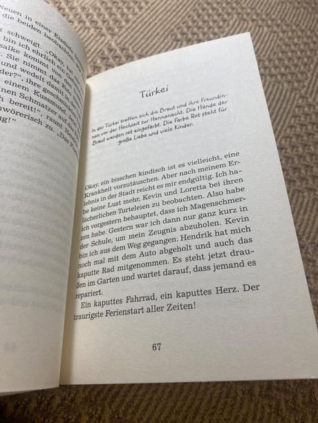 Siegel haas ein sommer voller pferdeträume,