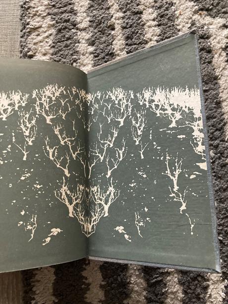 Tiene nad notre-damom (1968), 