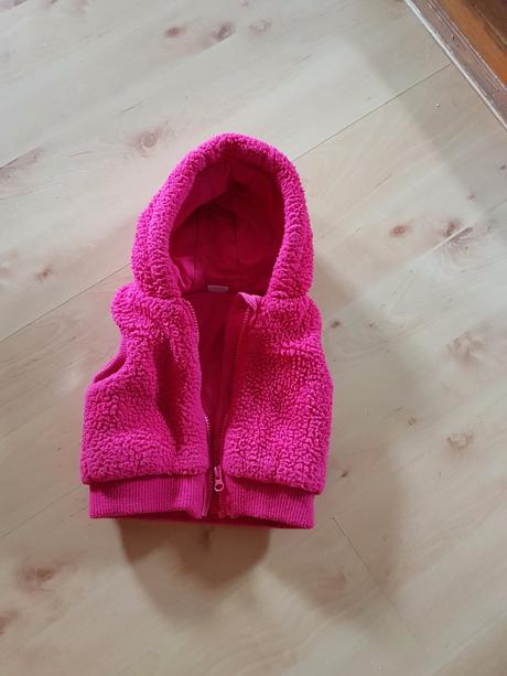 Hrubsia chlpatkova vesticka, f&f,74