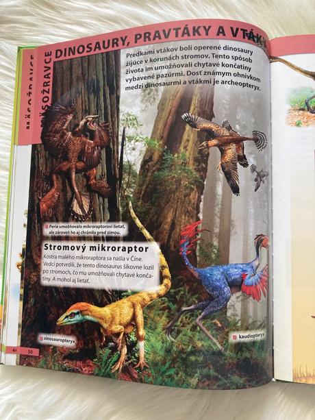 Dinosaury encyklopédia pre deti vo veku 7-10 rokov,