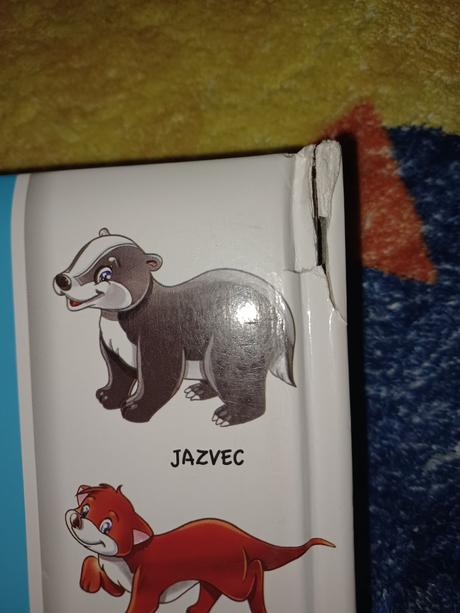 Moja prvá kniha o lese, 