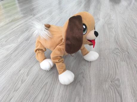 Psík floppy,