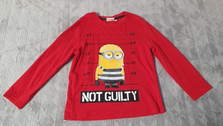 Tricko 116 minion, 116