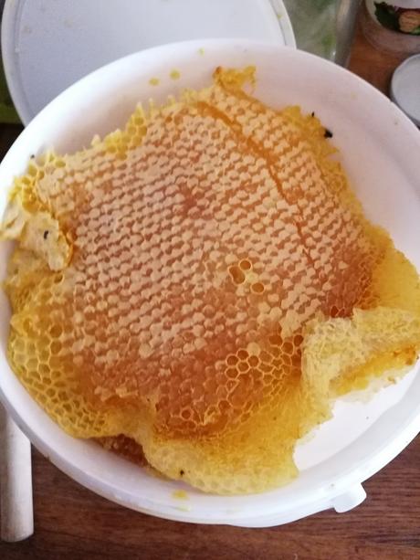 Domáci med priamo od včelára, 