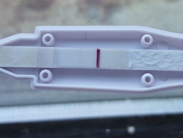 Skúsenosti s tehotenským testom Pharmadoct