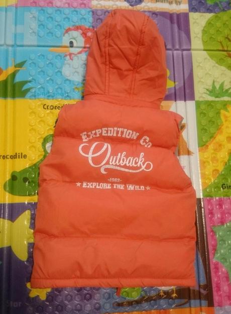 Vesta , st. bernard,98