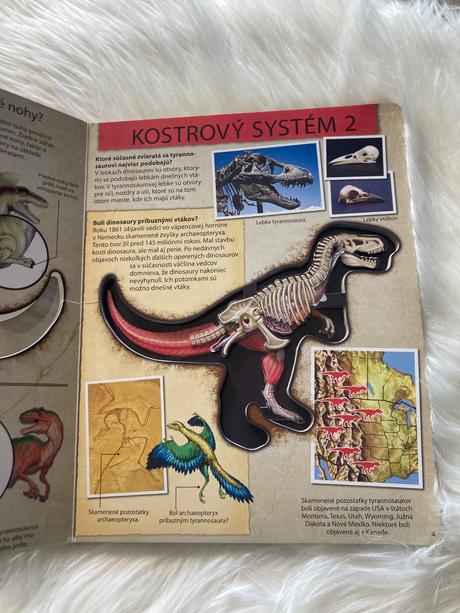 Pozrite sa do útrob dinosaura tyrannosaura,