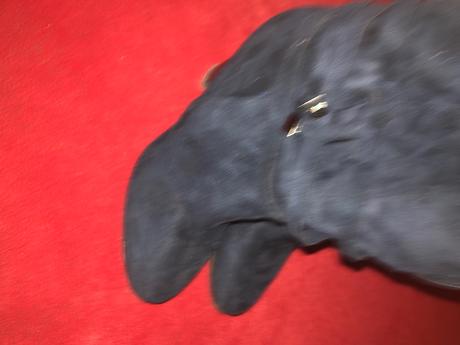 Semišové čižmy, 36