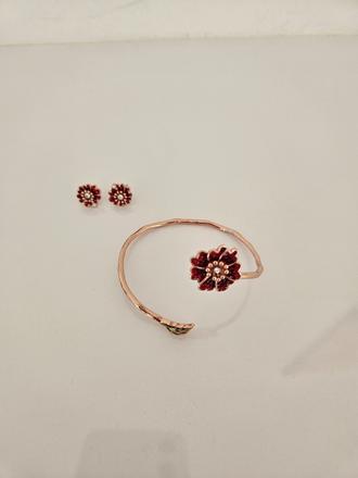 Petra toth sada kvety telgartu, petra toth