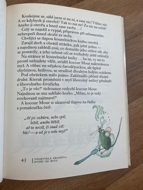 Kouzelníkův učeň aneb mnoho myší v jednom měste,