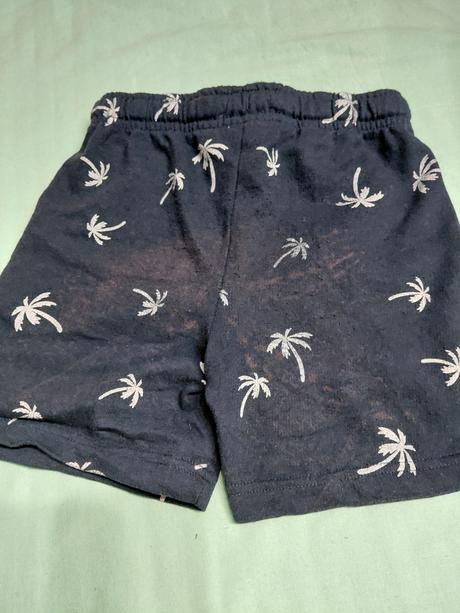 Kratase -palmy ii., sinsay,122