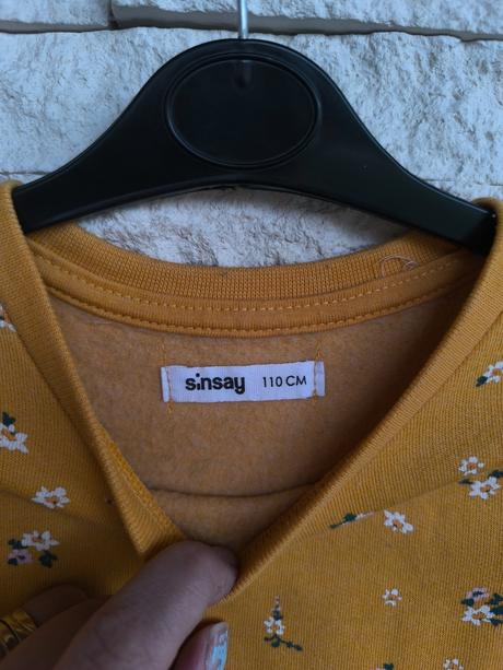 Hocičova mikina 110, sinsay,110