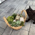 moje hobby kreativny piatok