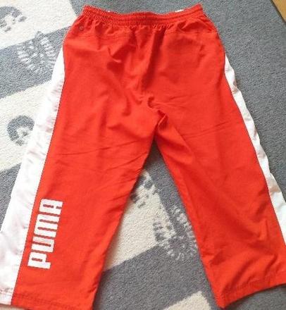 Puma trojštvrťáky v. m, puma,m