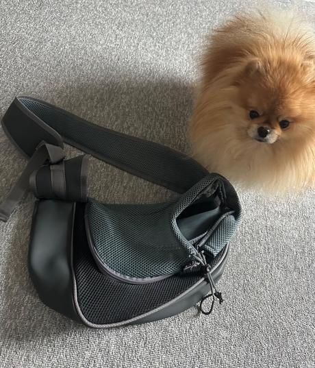 Taška pre malého psíka, 