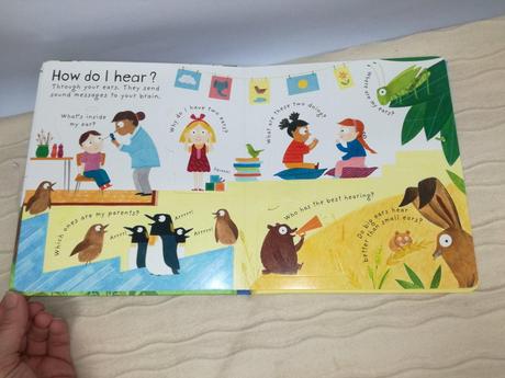 Usborne first q&a how do i see njul18,