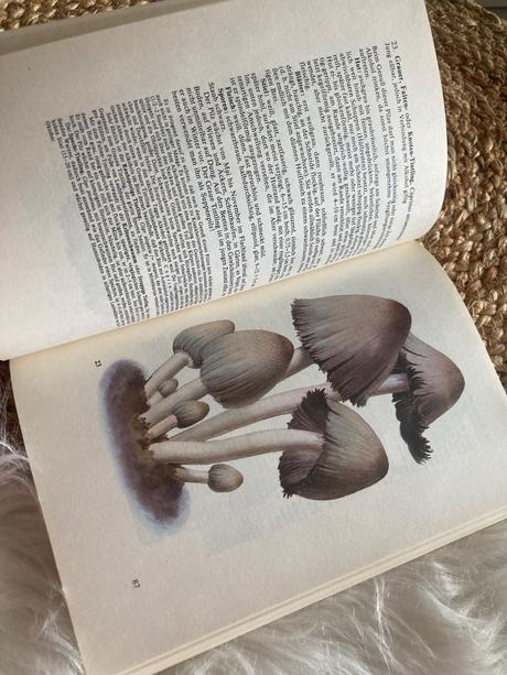 Taschenbuch für pilzfreunde (1987),