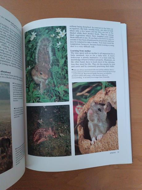 The book of the year, 