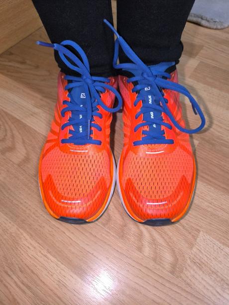 Pánske tenisky salomon, salomon,43