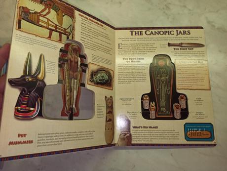 Look inside an egyptian mummy,