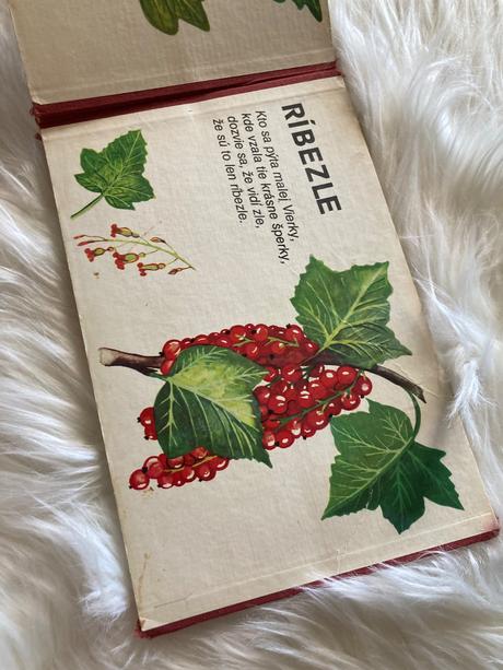 Ovocie retro leporelo prvé vydanie (1986),