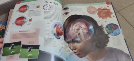 Deň v živote tela, 