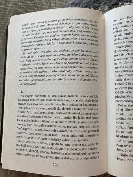 Šelma v meste (2011), 