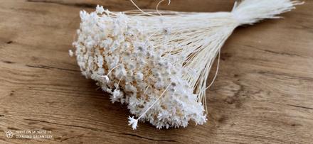 Glixia - bielená - 20 gramov, 