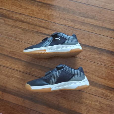 Halovky puma, puma,34