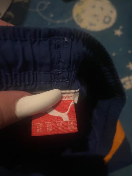 Puma kraťasy, puma,116