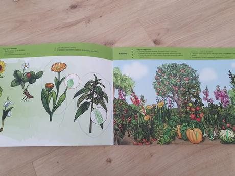 Kompletnásada pracovných zošitov pred predškolákov,