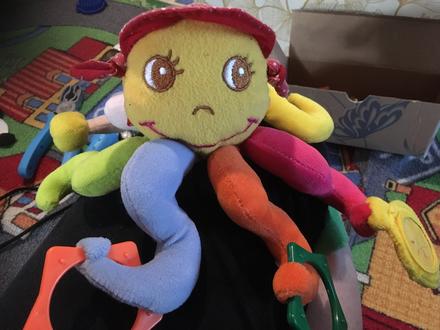 Chobotnica hrkálka,