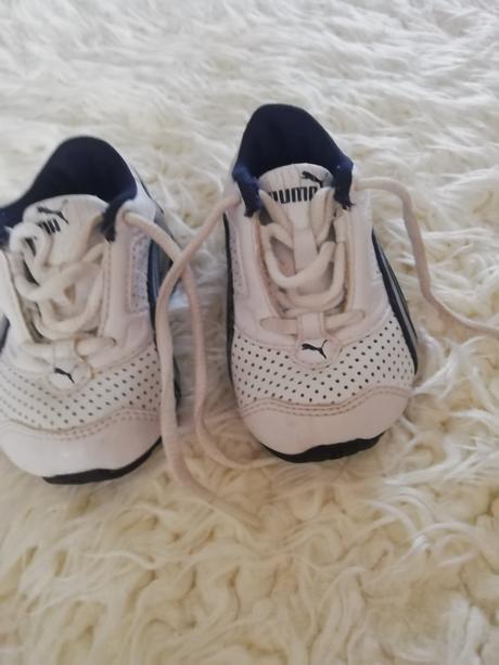 Botasky, puma,18