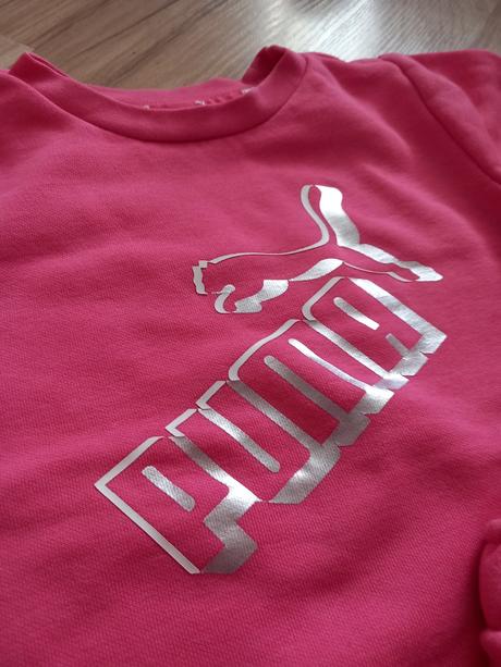 Suprava puma, puma,92