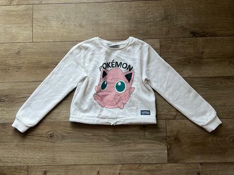 Pokemon mikinka, 134