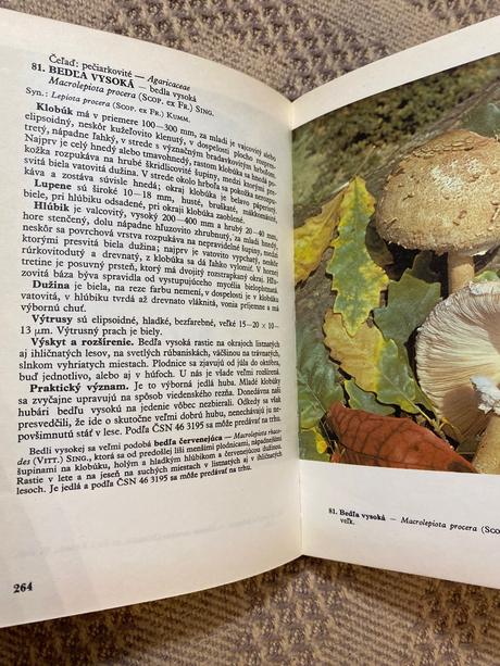 Krásny a praktický atlas húb aurel dermek,