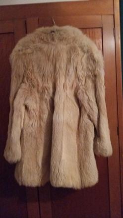 Pravý kožuch korejsky pes, 42