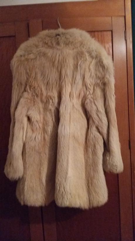 Pravý kožuch korejsky pes, 42