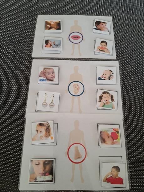 5 zmyslov - edukativna hra, 