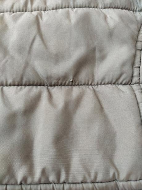 Vetrovka, bluezoo,116