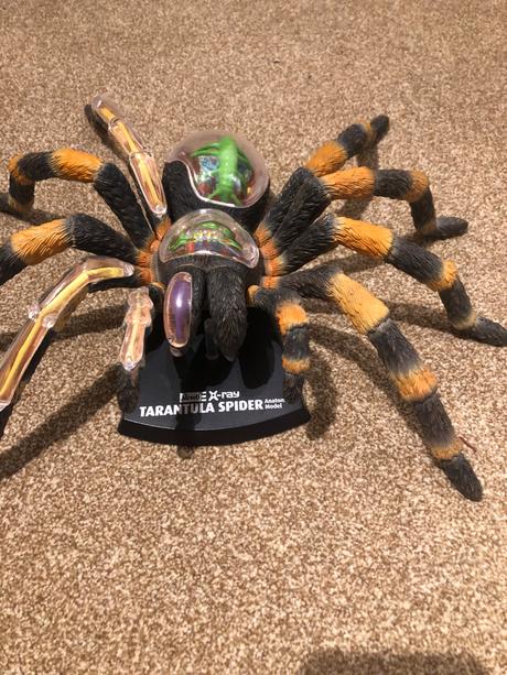 Pavuk tarantula maketa, 