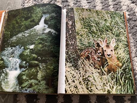 Spev prírody prvé vydanie 1971,